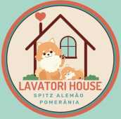 Lavatori House