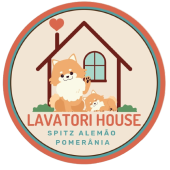 Lavatori House